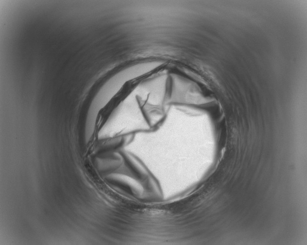 X0000070180539200606231949