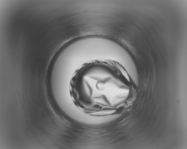X0000070180540200606231949