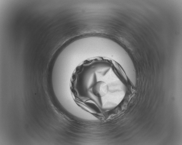 X0000070180544200606231949