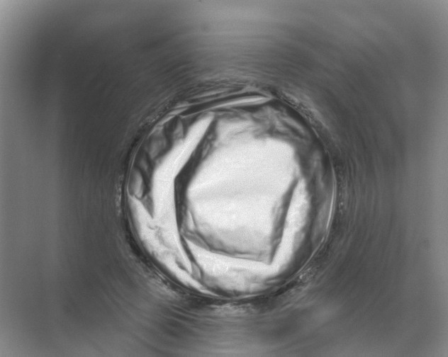 X0000070180545200606231949