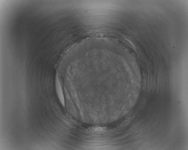 X0000070180553200606231949
