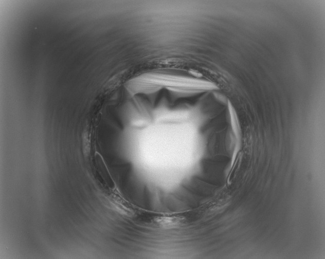X0000070180558200606231949
