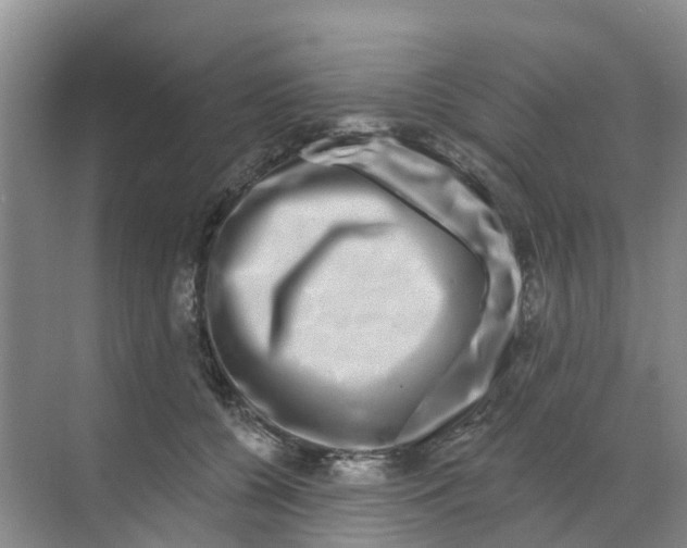 X0000070180560200606231949