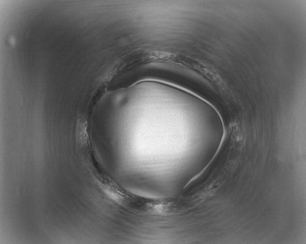 X0000070180564200606231950