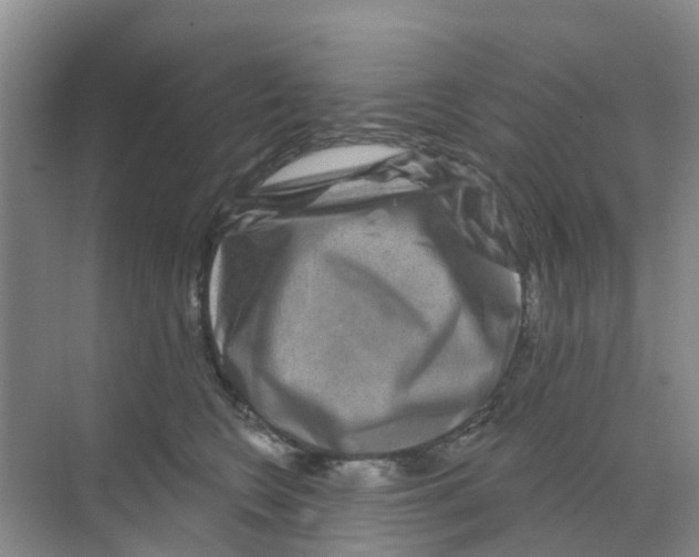 X0000070180566200606231950