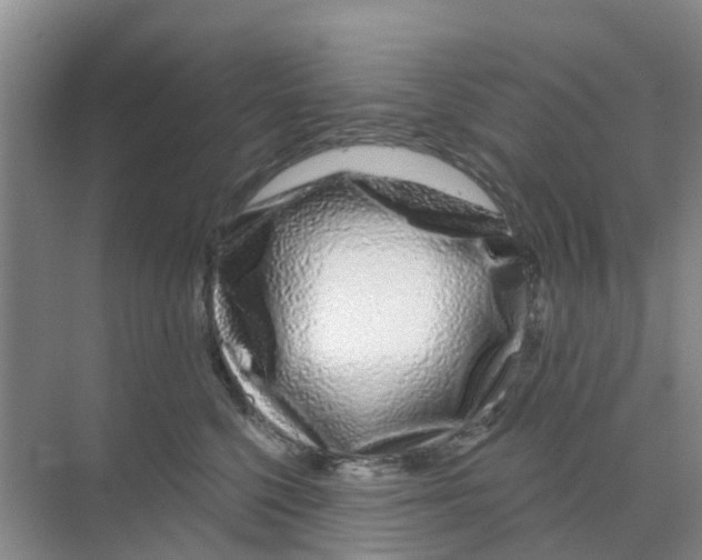 X0000070180568200606231950