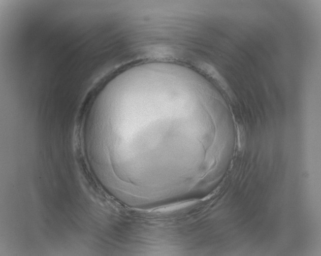 X0000070180579200606231949