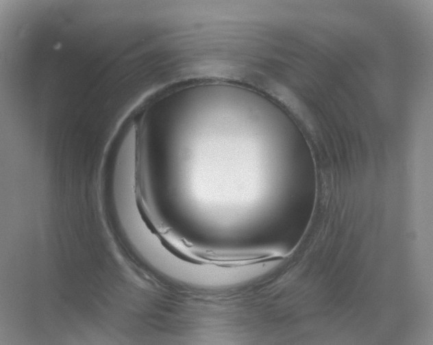 X0000070180580200606231949