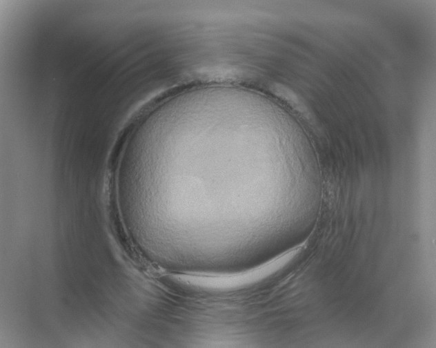 X0000070180583200606231949