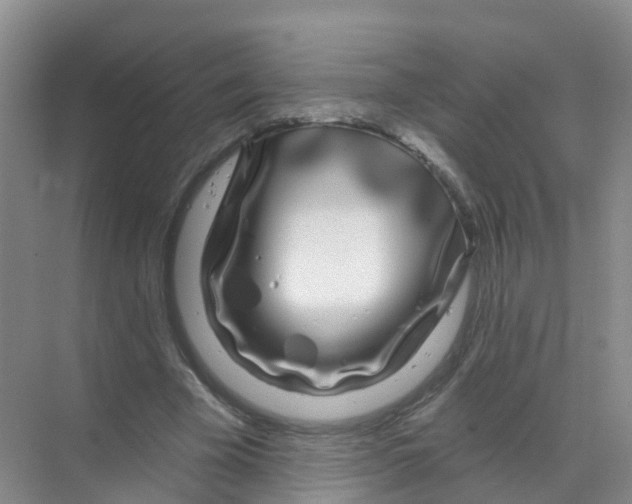 X0000070180585200606231949