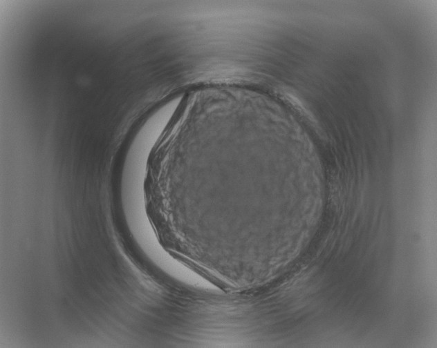 X0000070180586200606231949