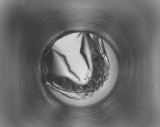 X0000070180588200606231949