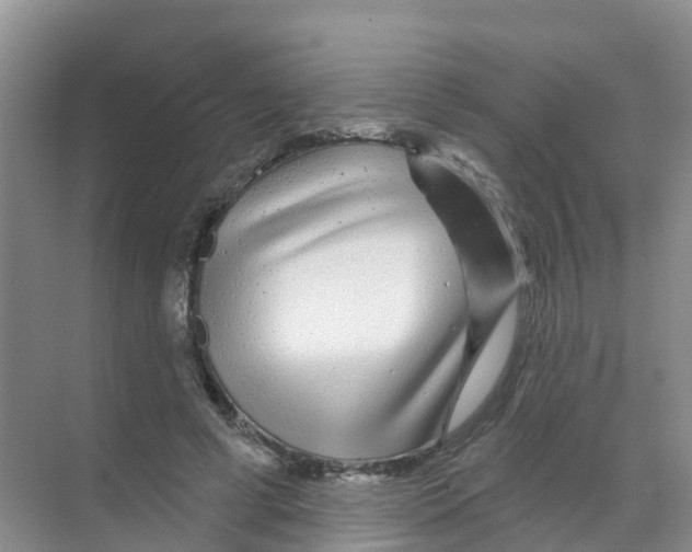 X0000070180593200606231949