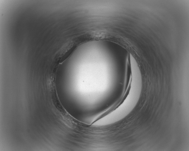 X0000070180601200606231949