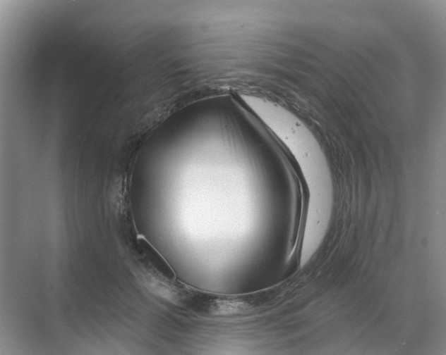 X0000070180605200606231948