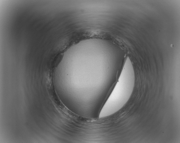 X0000070180607200606231948