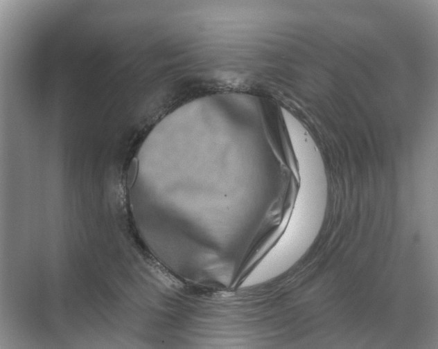 X0000070180613200606231948