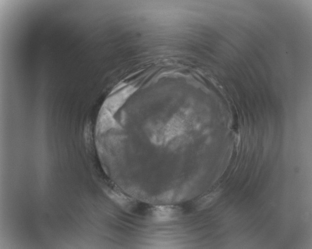 X0000070180623200606231948