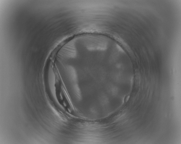 X0000070180626200606231947