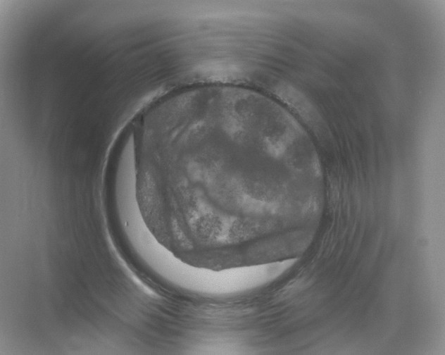 X0000070180630200606231947