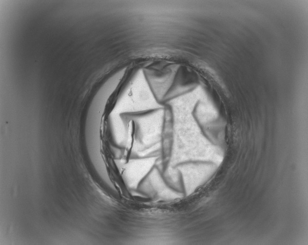 X0000070180633200606231947