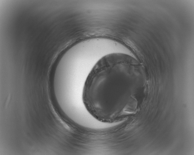 X0000070180634200606231947