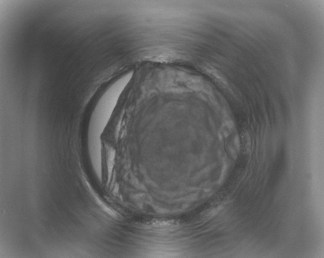 X0000070180638200606231948