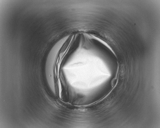 X0000070180639200606231948