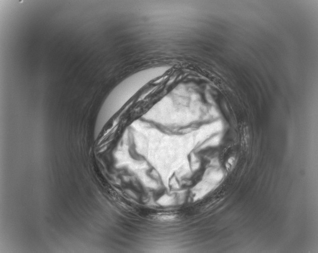 X0000070180651200606231948