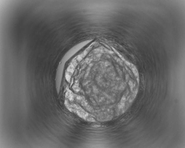 X0000070180657200606231948