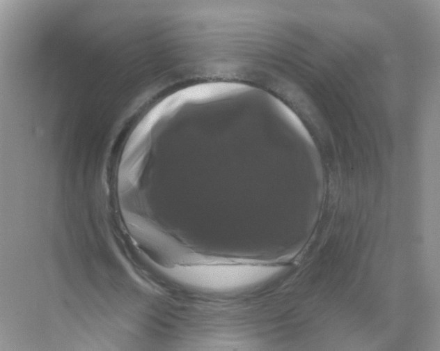 X0000070180674200606231947