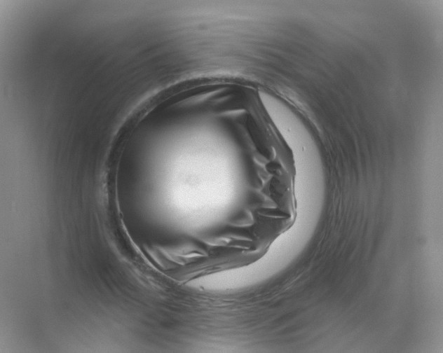 X0000070180676200606231947