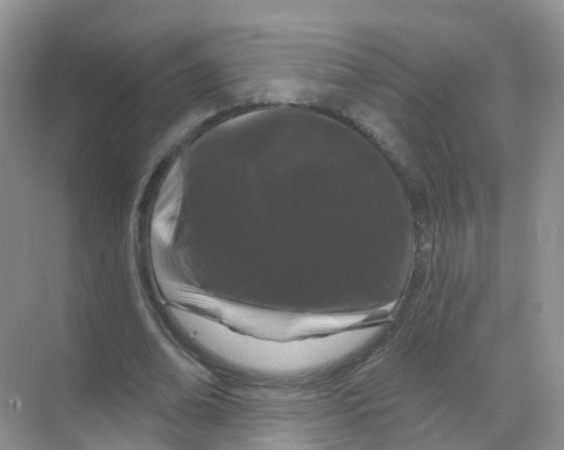 X0000070180678200606231947