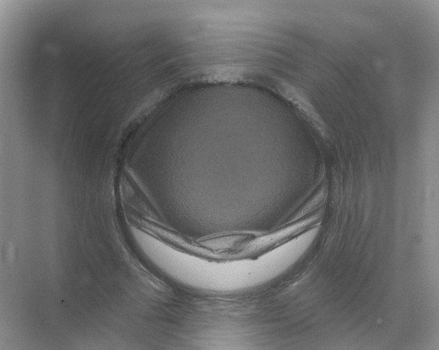 X0000070180681200606231947