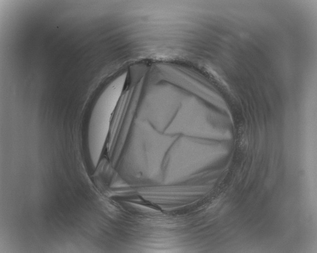 X0000070180685200606231947