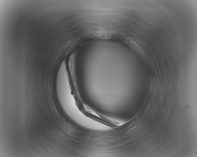 X0000070180693200606231947