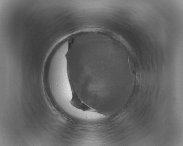 X0000070180724200606231946