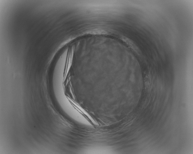 X0000070180727200606231946