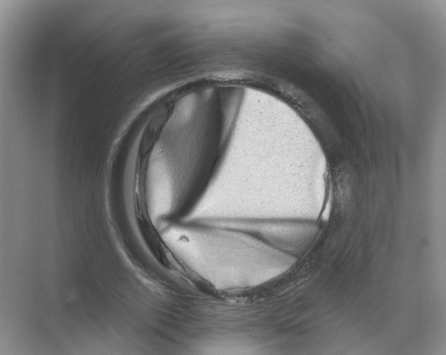 X0000070180728200606231946