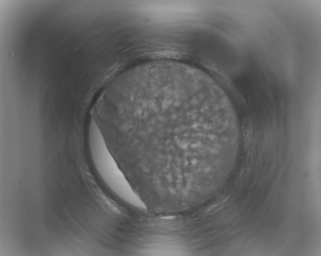 X0000070180729200606231946