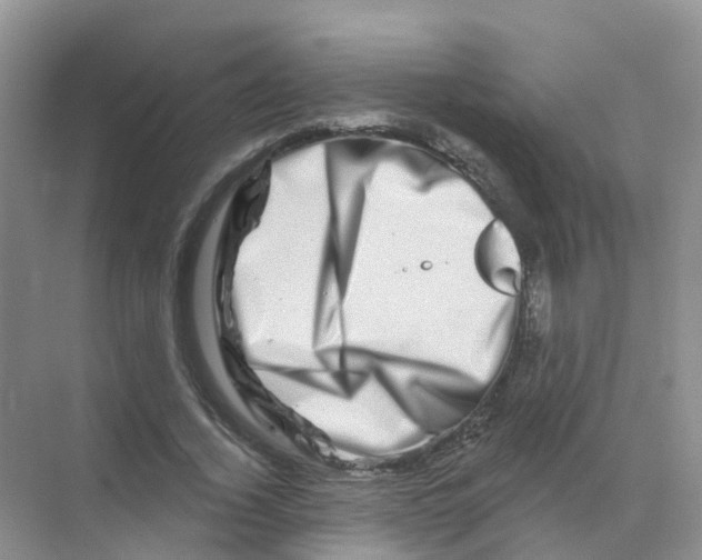 X0000070180732200606231946