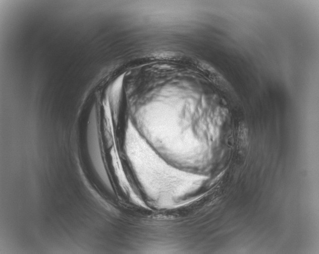 X0000070180734200606231946