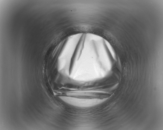 X0000070180739200606231946