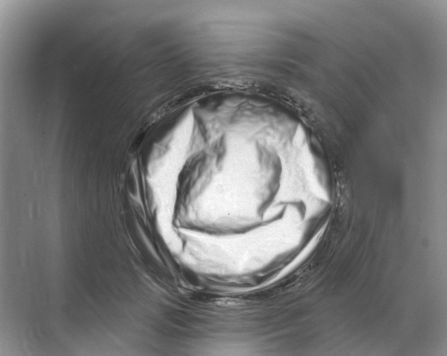 X0000070180749200606231946