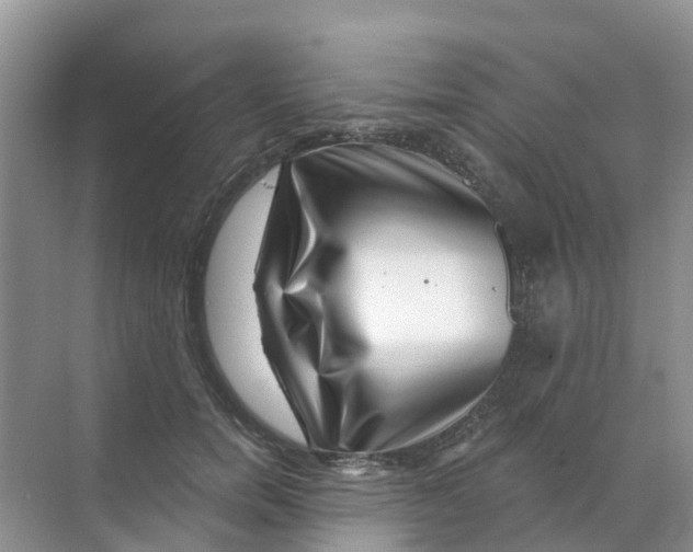 X0000070180750200606231946