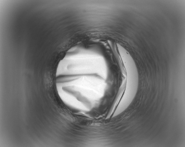 X0000070180751200606231946