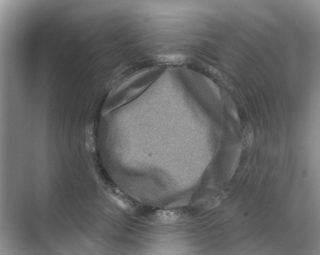 X0000070180764200606231946