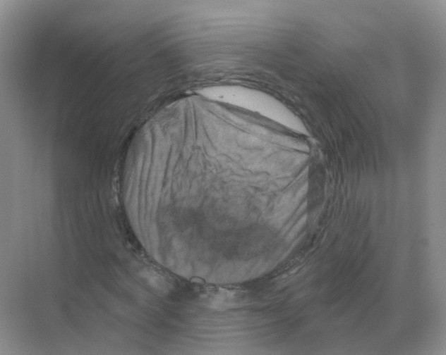 X0000070180772200606231946