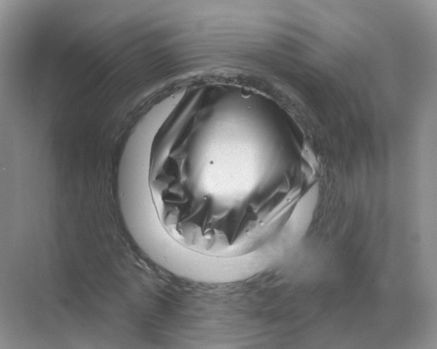 X0000070180773200606231946