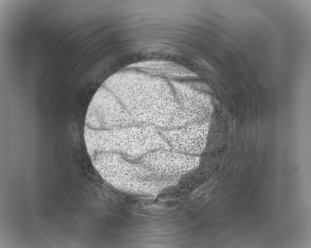 X0000070180774200606231946